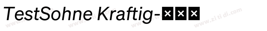 TestSohne Kraftig字体转换